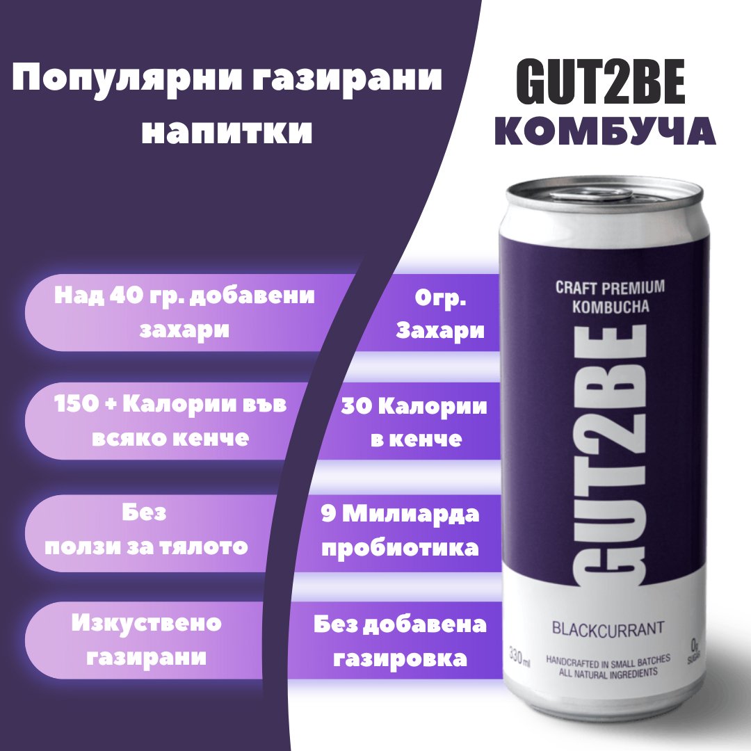 Комбуча Касис 24 кена х 330мл - GUT2BE Комбуча Комбуча Касис 24 кена х 330млКомбуча GUT2BE Комбуча GUT2BE Комбуча