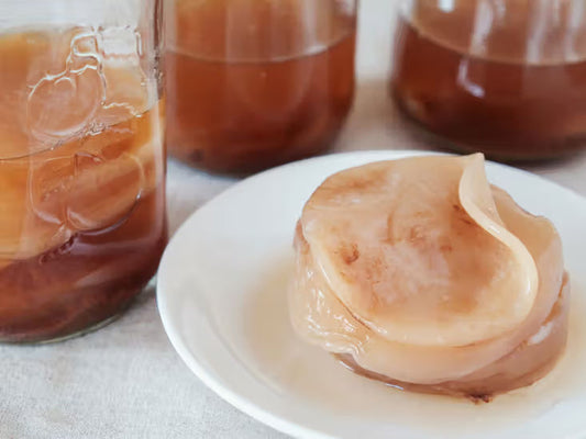kombucha-starter scoby mushroom in a plate 