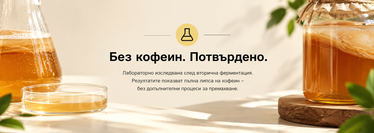 комбуча без кофеин