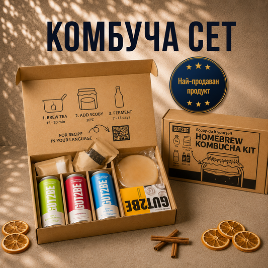 kombucha set containing scoby, green tea, sugar, three cans with ready kombucha and instructions