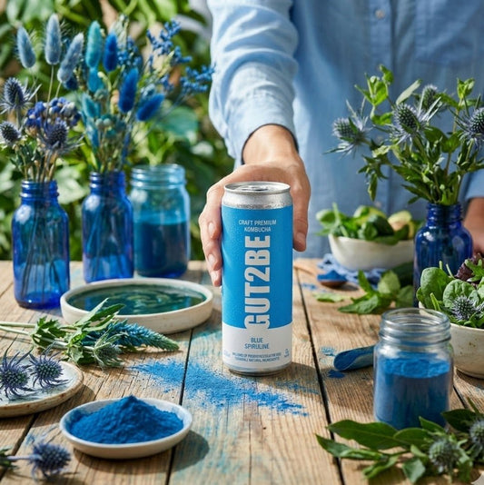 Комбуча Синя Спирулина 12 кена х 330мл - GUT2BE КомбучаКомбуча Синя Спирулина 12 кена х 330млКомбучаGUT2BE КомбучаGUT2BE Комбуча