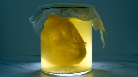 Комбуча Гъба - GUT2BE  Комбуча Scoby за направа на домашна комбуча.  Пакет съдържащ  гъба комбуча и стартерна течност. Комбуча скоби за направа на комбуча чаена напитка. Чаена гъба скоби.