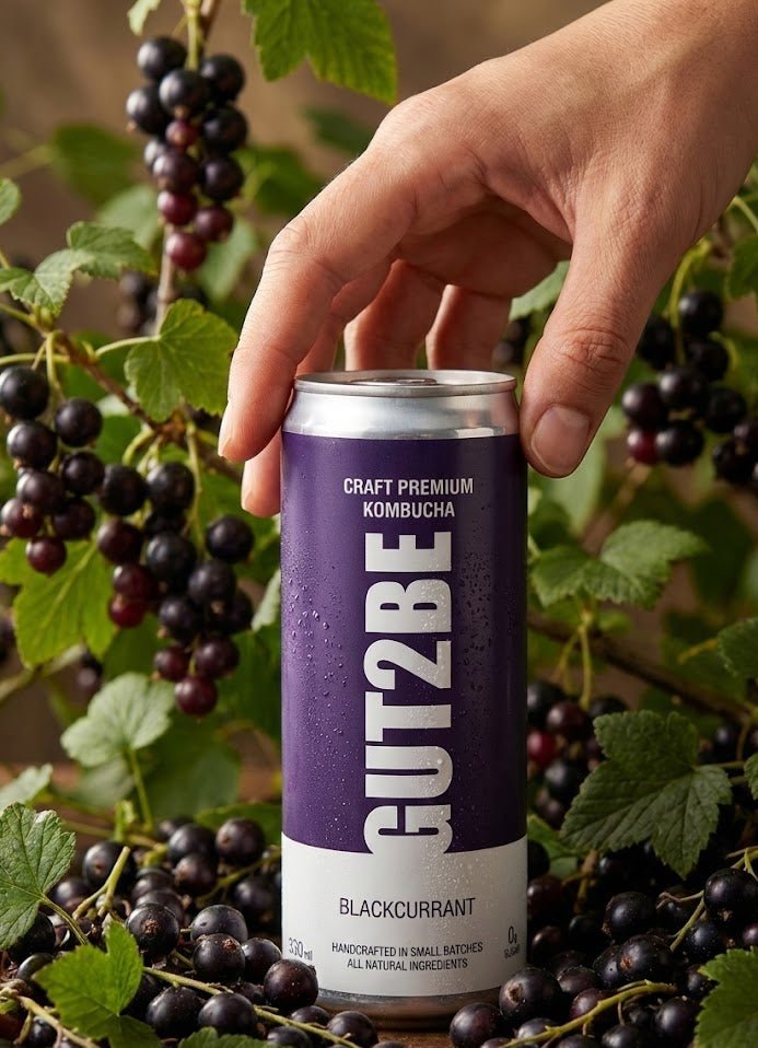 Комбуча Касис 12 кена х 330мл - GUT2BE КомбучаКомбуча Касис 12 кена х 330млКомбучаGUT2BE КомбучаGUT2BE Комбуча