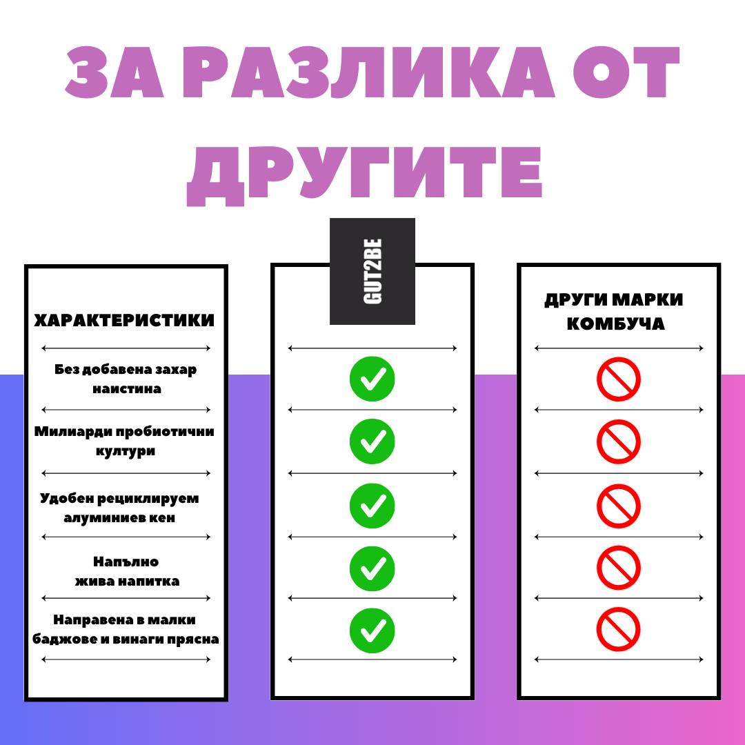 Комбуча Касис 12 кена х 330мл - GUT2BE КомбучаКомбуча Касис 12 кена х 330млКомбучаGUT2BE КомбучаGUT2BE Комбуча