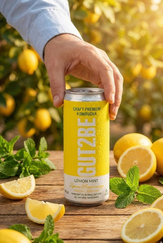 Комбуча Лимон и Мента 12 кена х 330мл - GUT2BE КомбучаКомбуча Лимон и Мента 12 кена х 330млКомбучаGUT2BE КомбучаGUT2BE Комбуча