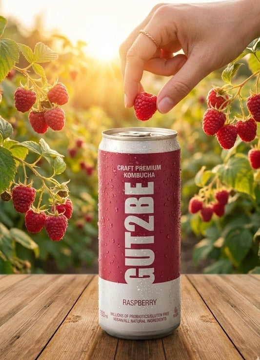 Комбуча Малина 12 кена х 330мл - GUT2BE КомбучаКомбуча Малина 12 кена х 330млКомбучаGUT2BE КомбучаGUT2BE Комбуча