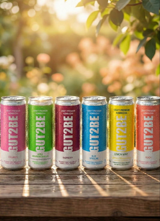 Комбуча Микс 12 кена х 330мл - GUT2BE КомбучаКомбуча Микс 12 кена х 330млКомбучаGUT2BE КомбучаGUT2BE Комбуча