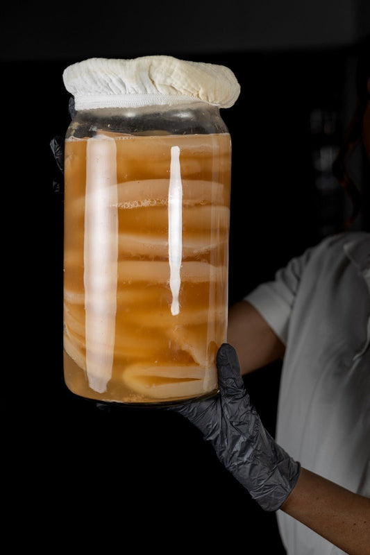 Комбуча Сет за Комбуча у Дома - GUT2BE КомбучаКомбуча Сет за Комбуча у ДомаКомбуча гъбаGUT2BE КомбучаGUT2BE Комбуча