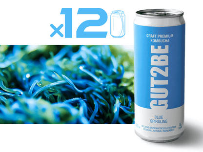 GUT2BE Kombucha sinia spiruluna kenche 