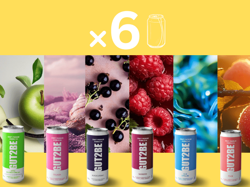 Starter Pack - 6 броя Комбуча - GUT2BE КомбучаStarter Pack - 6 броя КомбучаGUT2BE КомбучаGUT2BE Комбуча