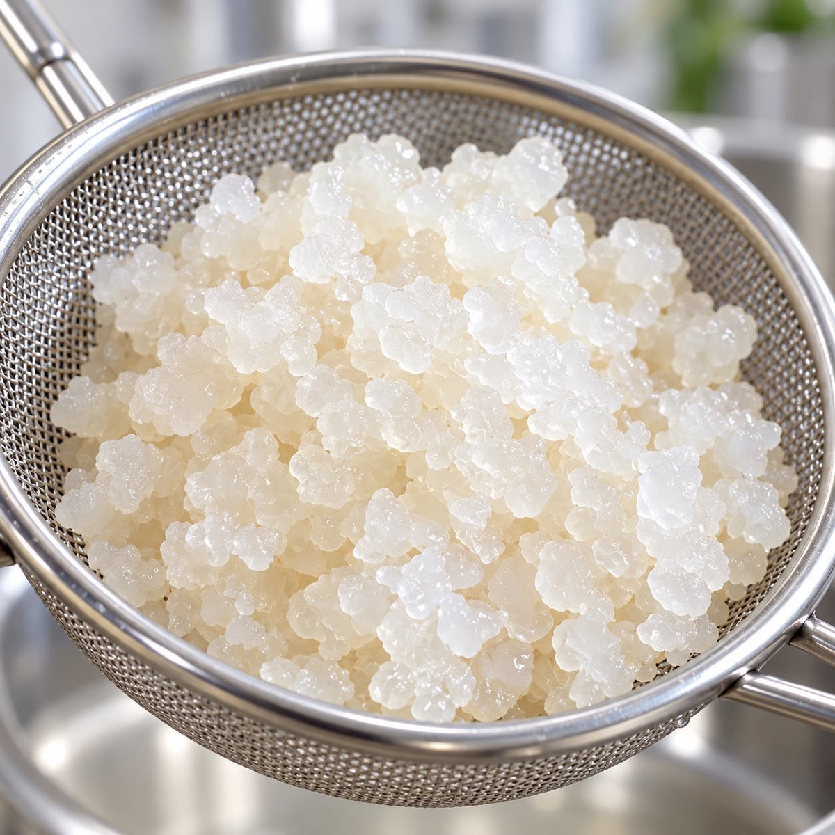 Активни зърна за воден кефир – 25 г | Готови за употреба